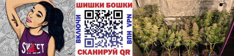 Шишки марихуана планчик  цена   Ермолино 